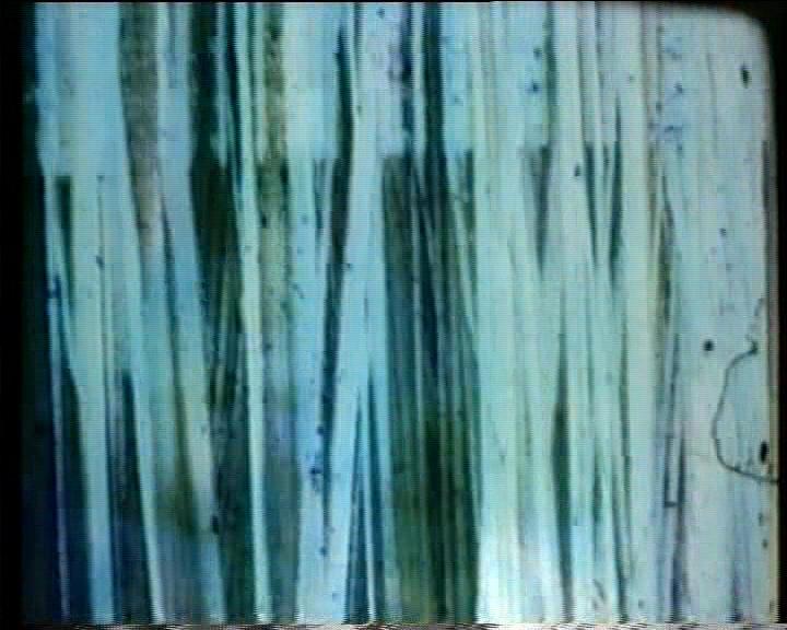 hand painted super8 filminutes still